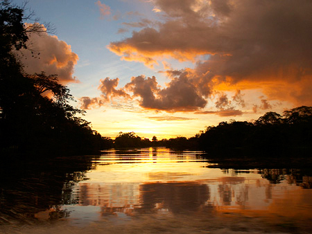 amazon sunset