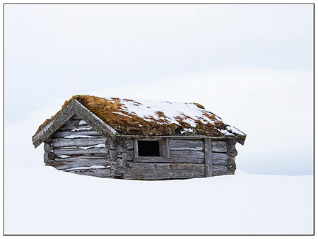 cabin